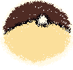 brown pokeball